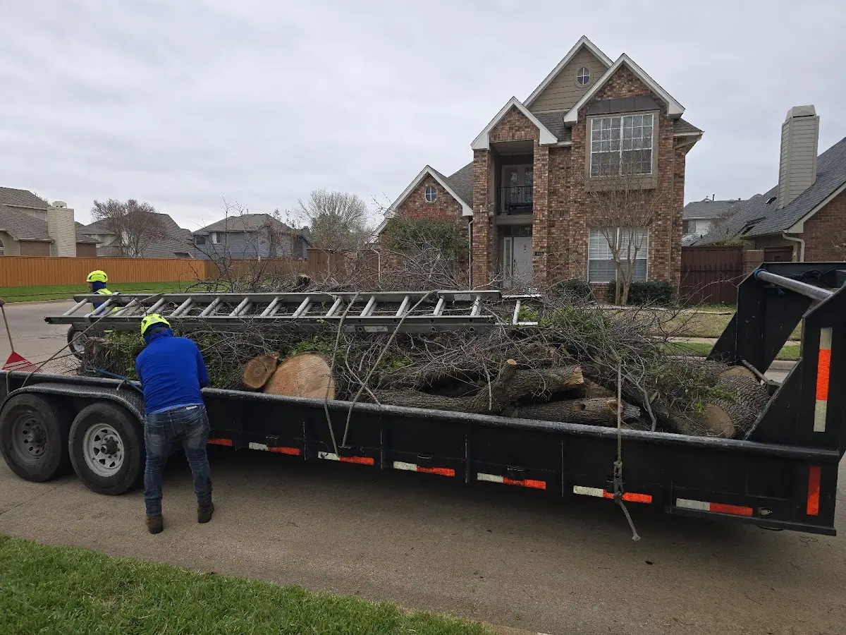 Expert Tree Fertilization with proper safety equipment in Kauneonga Lake